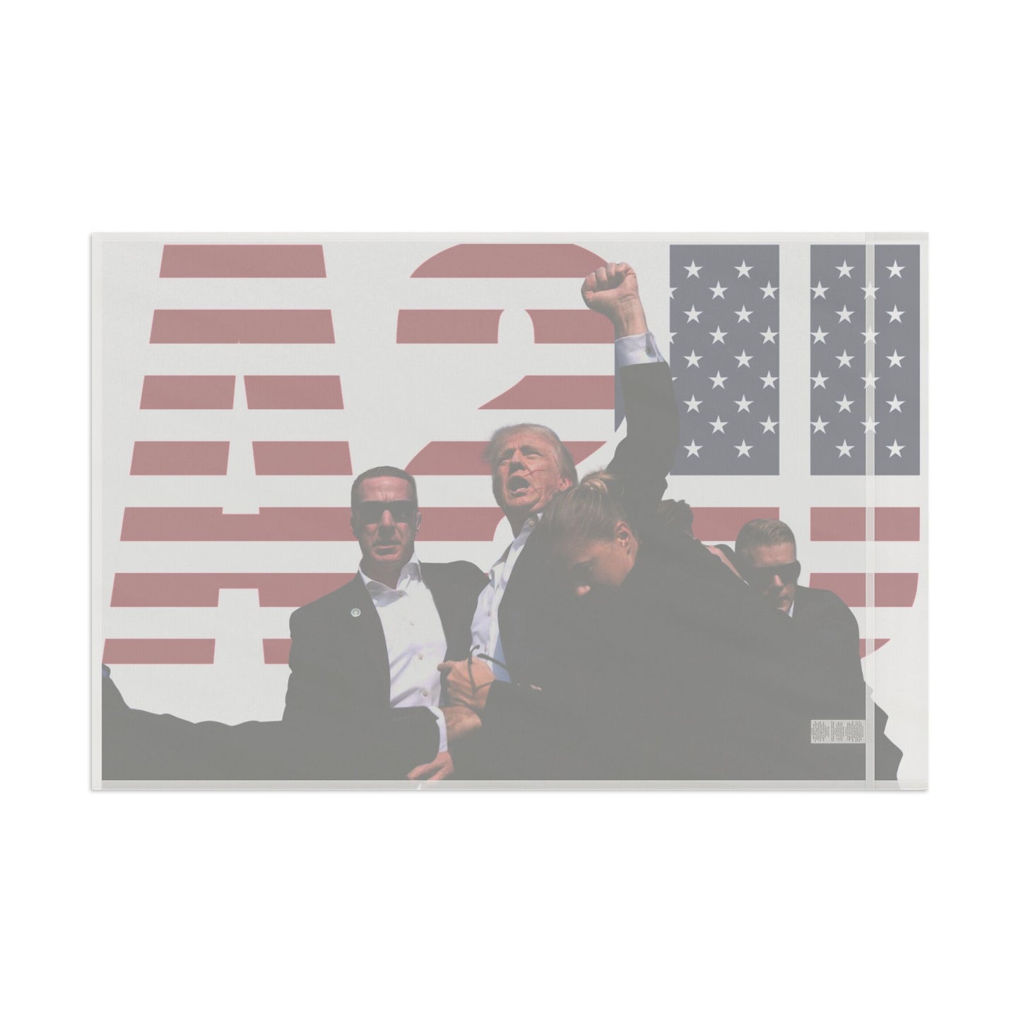 Trump USA Flag