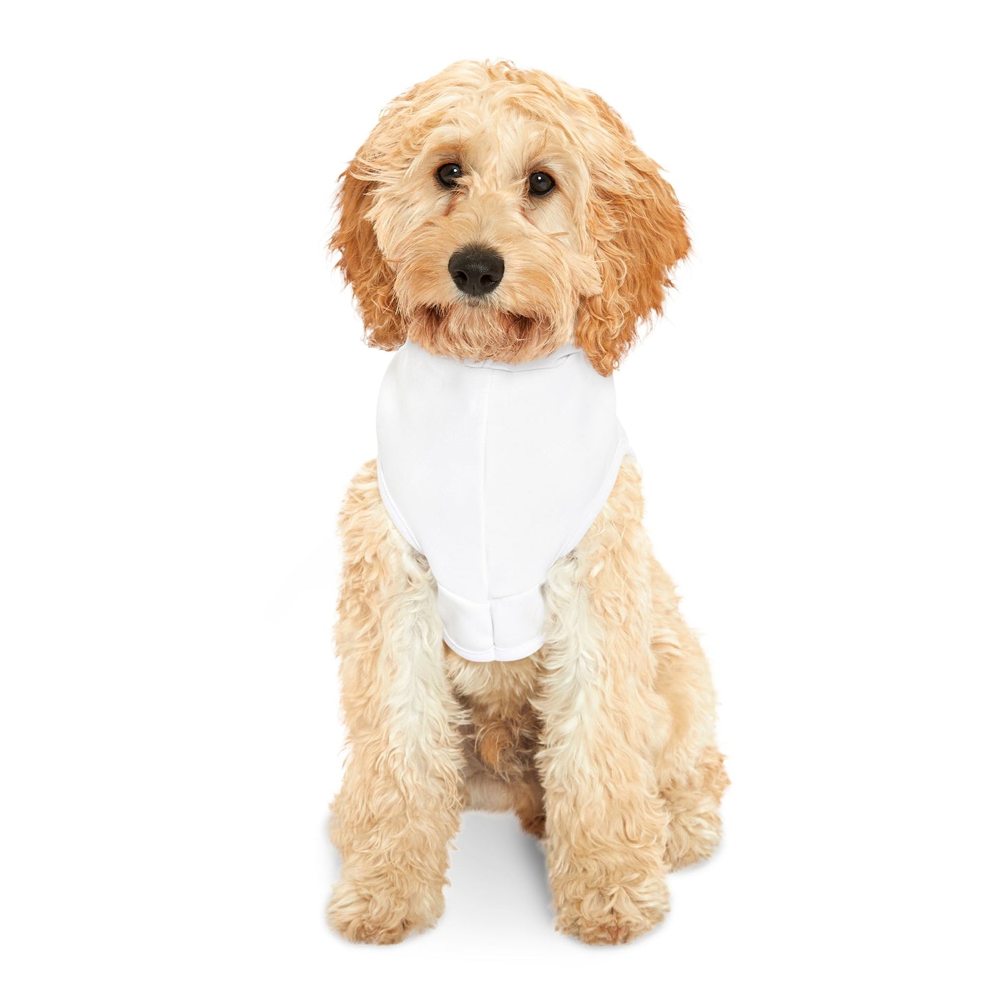 Barkin' For Freedom Pet Hoodie